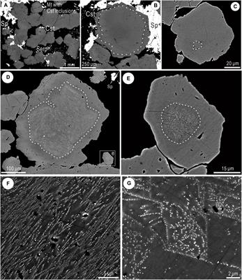 Tin-bearing magnetite with nanoscale Mg-Si defects: Evidence for the early stages of mineralization in a skarn system